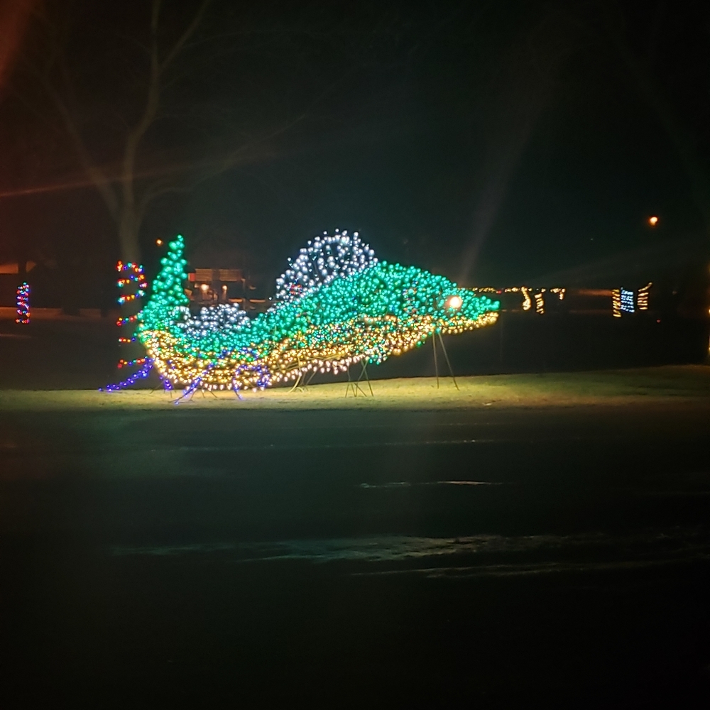 Meet your Posher, Renee